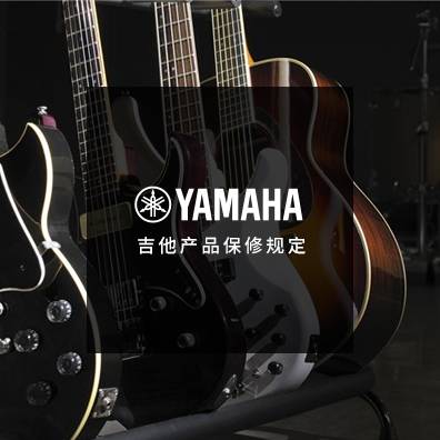 吉他、贝斯和音箱